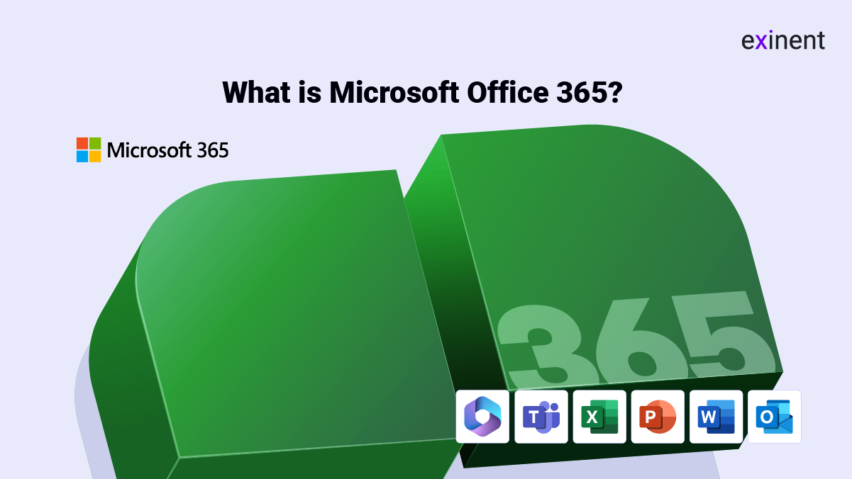 Microsoft 365 Basic Affordable Office Tools and Cloud Services